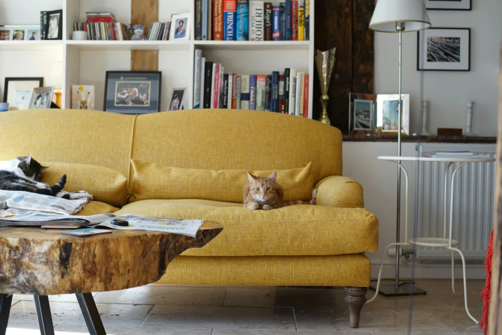 Cómo limpiar sillones según su material | Guía práctica